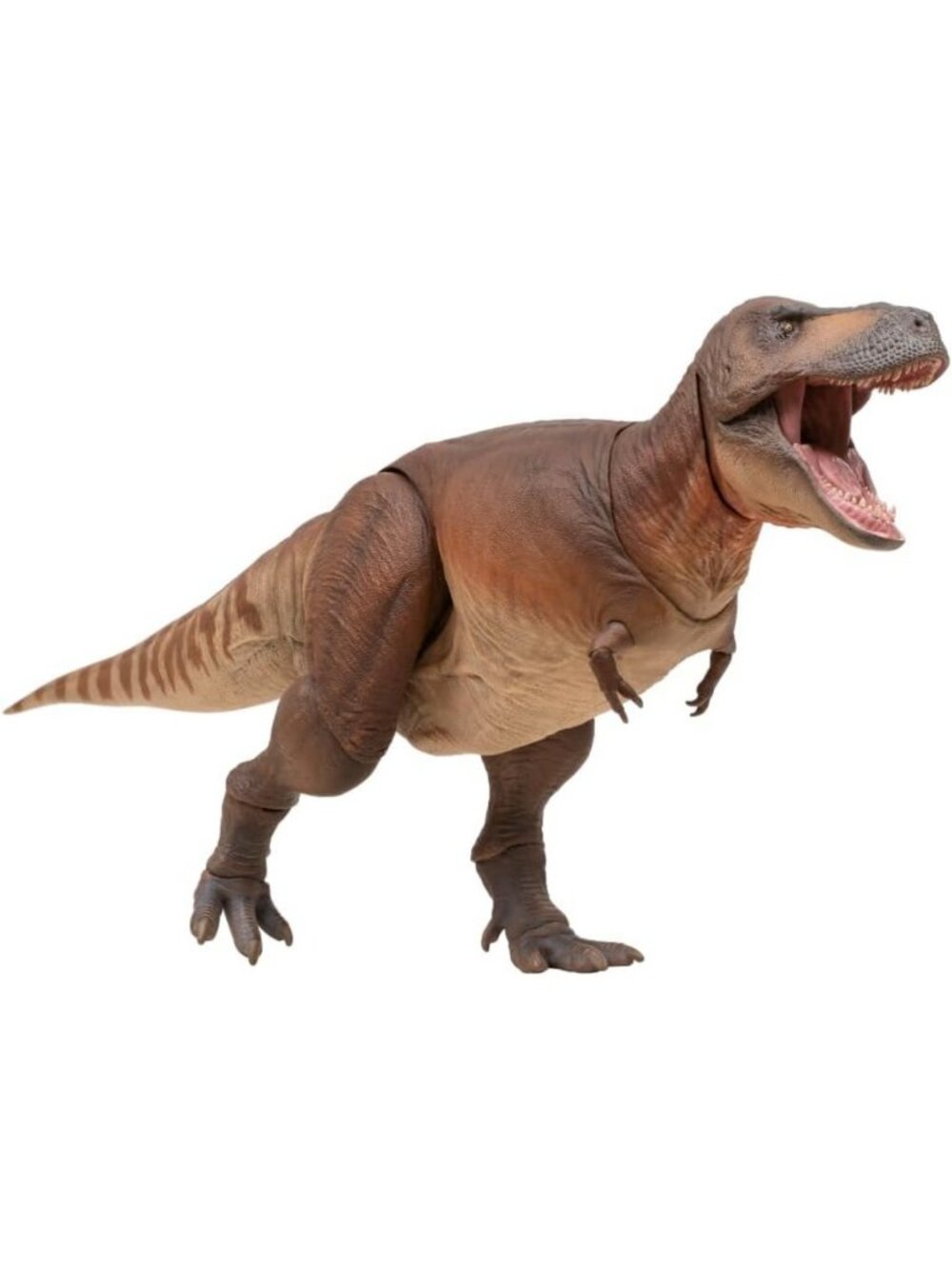 Articulated Prehistoric Dinosaur Toy - Cameron Tyrannosaurus Rex Figure